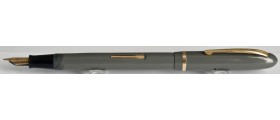 WA713 Waterman's 501 Champion.  (Flexible Medium)